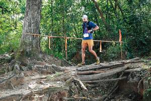 BIB: 
                            <button type="button" onclick="openModal(27802933)" class="btn btn-primary btn-sm float-right btn-popup" data-toggle="modal" data-target=".modal-high-quality">
                        <i class="fas fa-shopping-cart"></i> Add to Cart
                    </button>
                                            <button type="button" onclick="isThisMe(27802933, true)" class="btn btn-success btn-sm float-right btn-popup btn-isme hidden" data-toggle="tooltip" data-placement="bottom" title="นี่คือรูปของคุณใช่ไหม คลิกที่นี่เพื่อเอาเข้าอัลบั้ม">
                        <i class="fas fa-plus"></i> Add to album
                    </button>
                    <button type="button" onclick="isThisMe(27802933, false)" class="btn btn-warning btn-sm float-right btn-popup btn-isnotme hidden">
                        <i class="fas fa-ban"></i> Remove from album
                    </button>